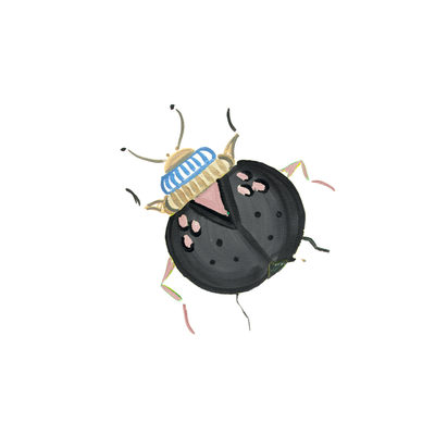 Image Not Available